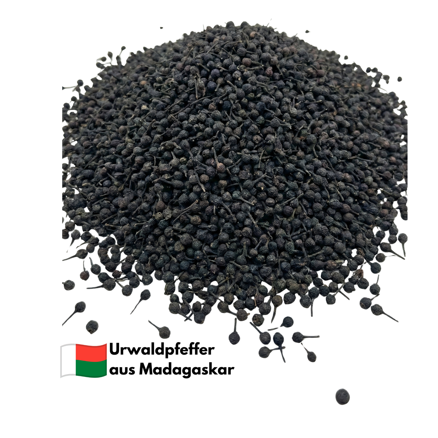 Urwaldpfeffer-Madagaskar