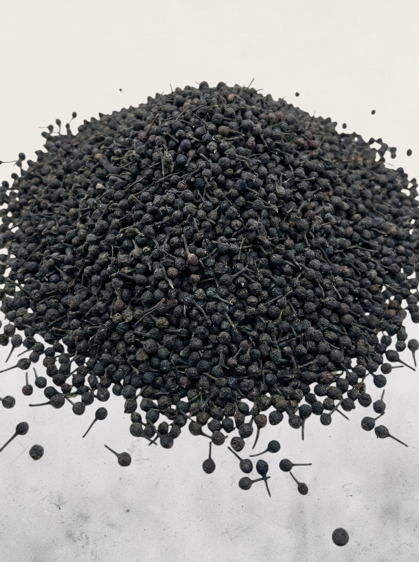 Urwaldpfeffer_Madagaskar