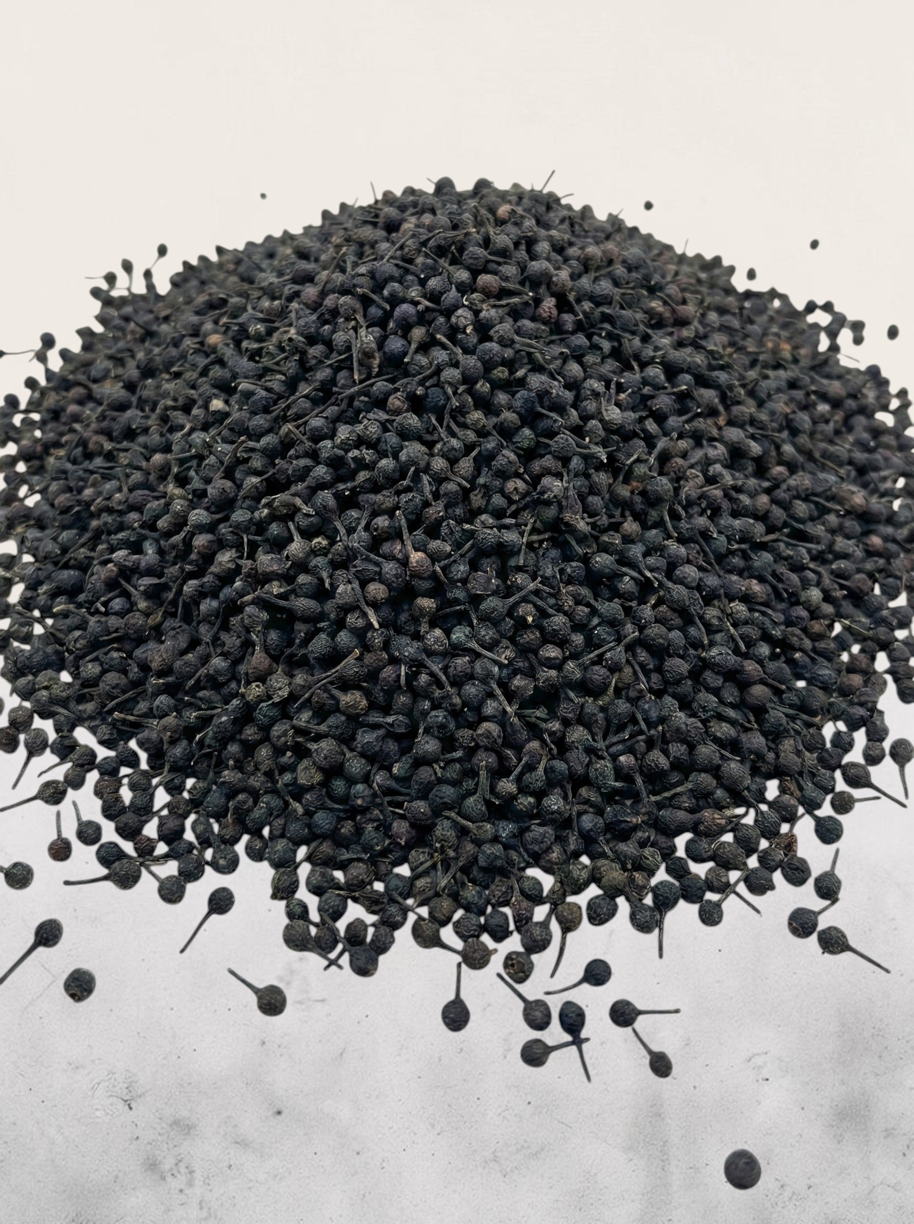 Urwaldpfeffer_Madagaskar